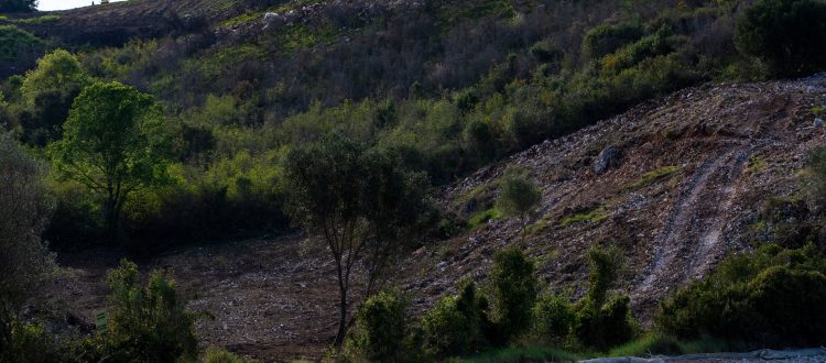 Αποψίλωση